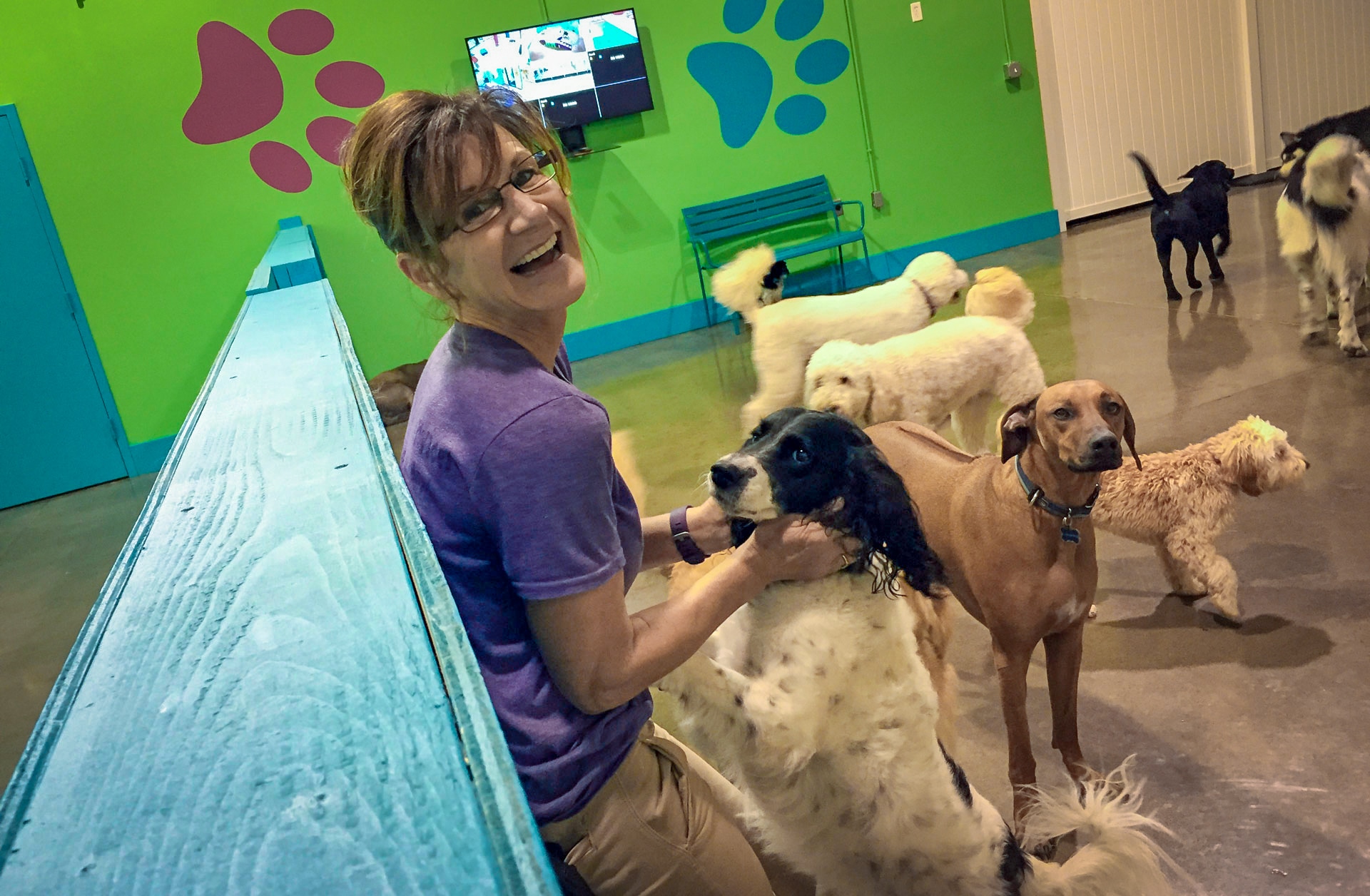 The friendly team at Augusta Dog Training