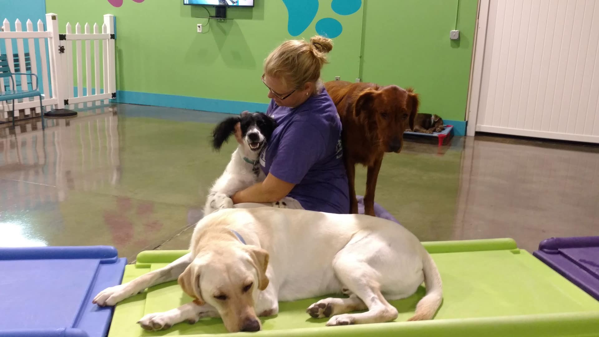 Staff member of Augusta Dog Training petting a dog