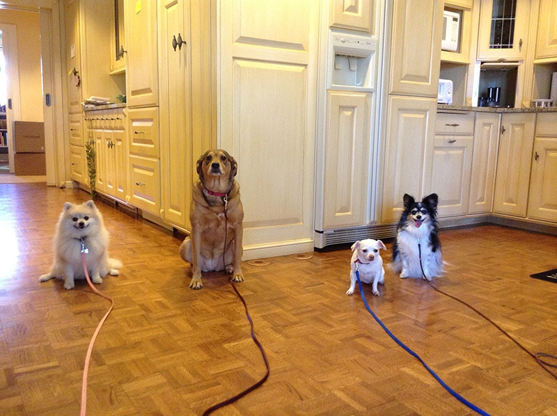 Group training classes in-home