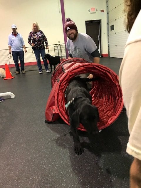 Trainer at Augusta Dog Training