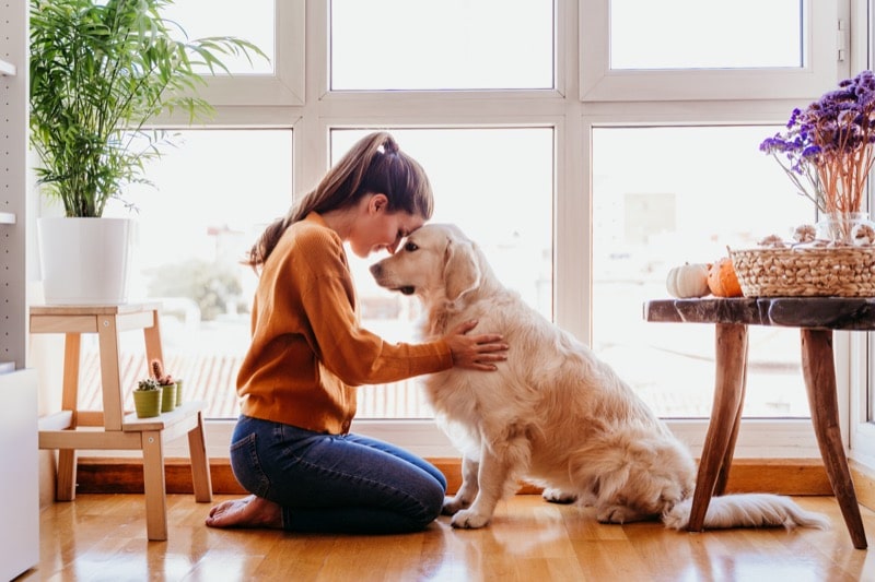 A woman holds her therapy golden retriever at home featured as the blog banner for Augusta Dog Training.