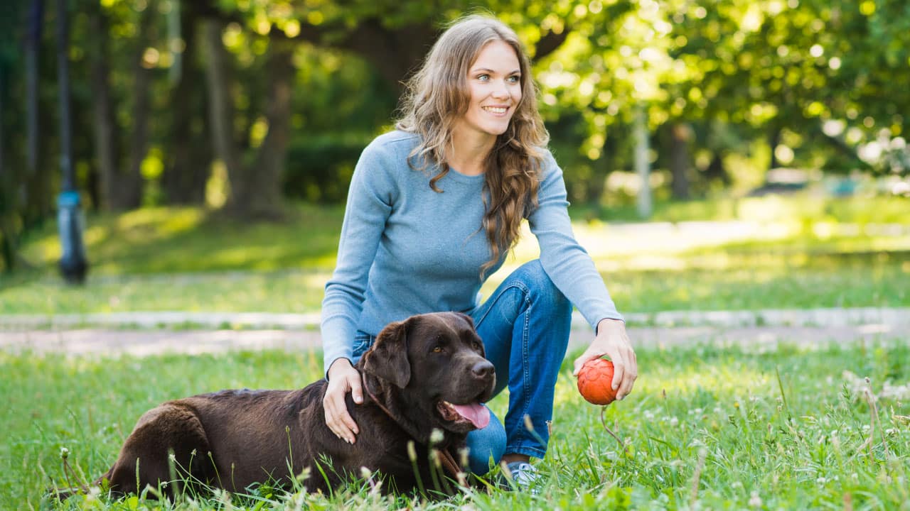 Girl with a dog and ball in grass