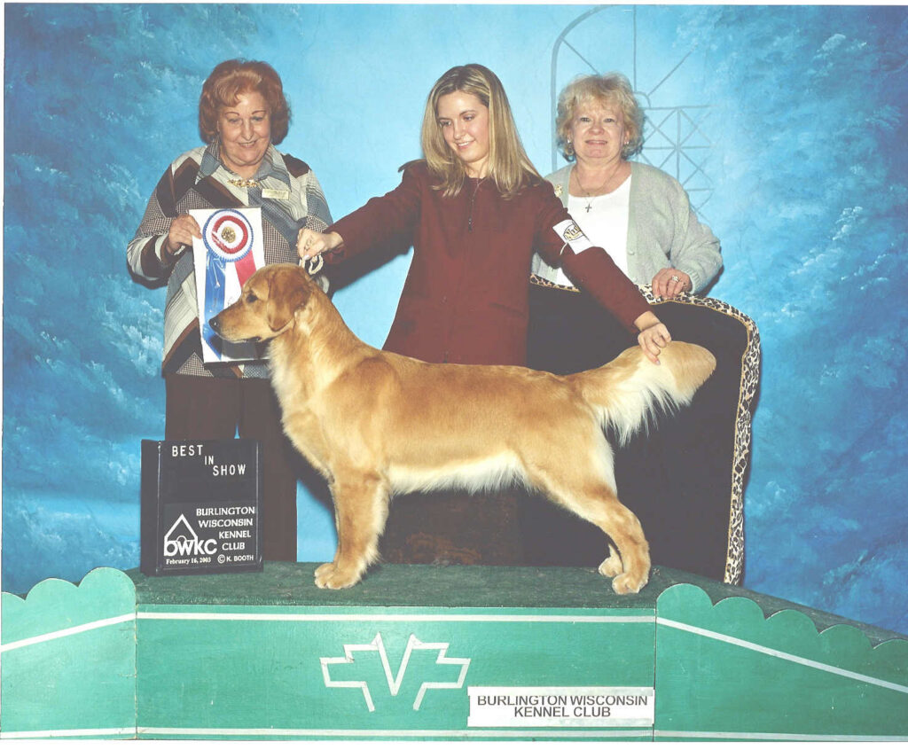 Brecon (BIS Augusta's Wingsong UD, MH, CDX, VCX) The one and only Best In Show Master Hunter in the breed. Bred and trained by Kathryn Newman