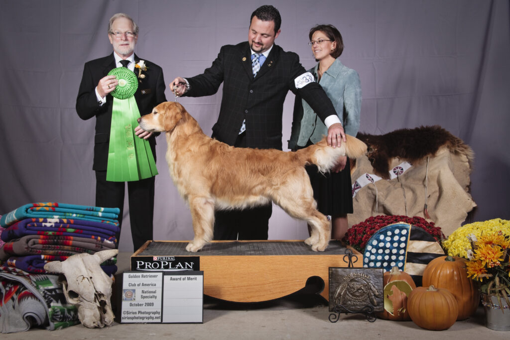 Levi (Augusta's Genuine Article UD, MH, WCX, VCX) Judges Award of Merit 2009 Golden Retriever National Specialty 2009. First dog to earn a JAM from the Gun Dog Class at a National Specialty